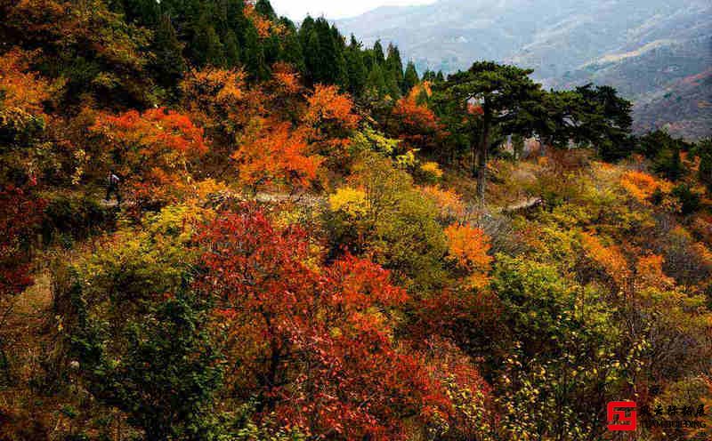 門頭溝樊低下2天團(tuán)建拓展活動方案