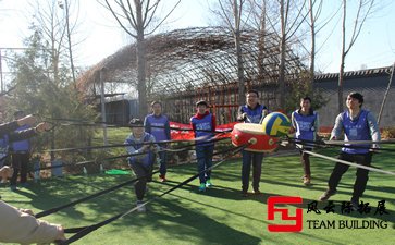 拓展訓(xùn)練心得團(tuán)隊(duì)精神五篇