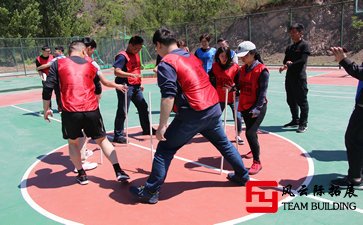 拓展訓練：互相信任、團結協作五篇