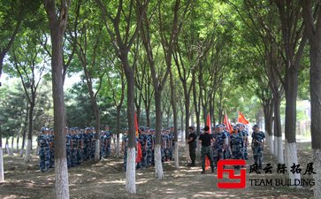 300字軍訓心得體會6篇