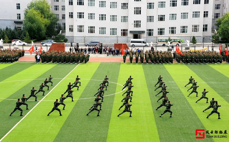 軍訓(xùn)體會心得500字
