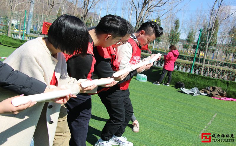 團(tuán)隊(duì)凝聚力培訓(xùn)心得500字五篇