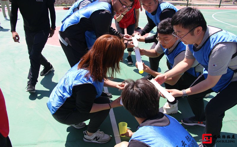 公司拓展訓練后的總結五篇